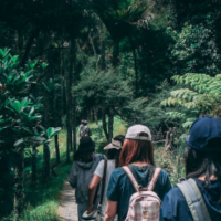 mardi himal trek